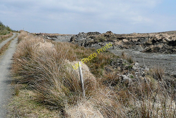 Photo 6"x4" Moorland adjacent to the track to Boolynagreena Connolly c2010