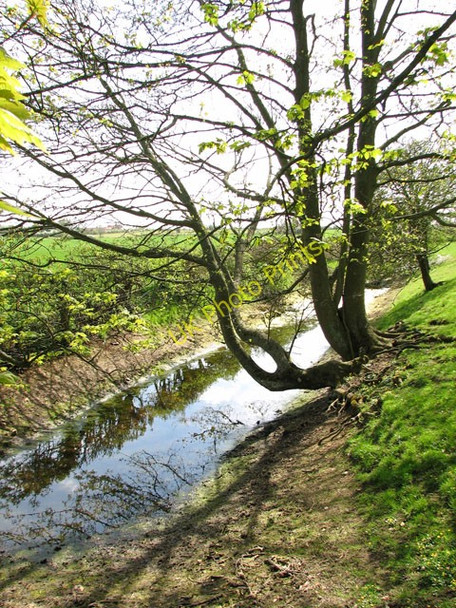 Photo 6"x4" Ditch south of St Mary's church, Beeston Beeston\/TF9015 c2010