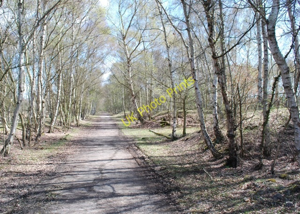 Photo 6"x4" Skipwith Common Little Skipwith c2010