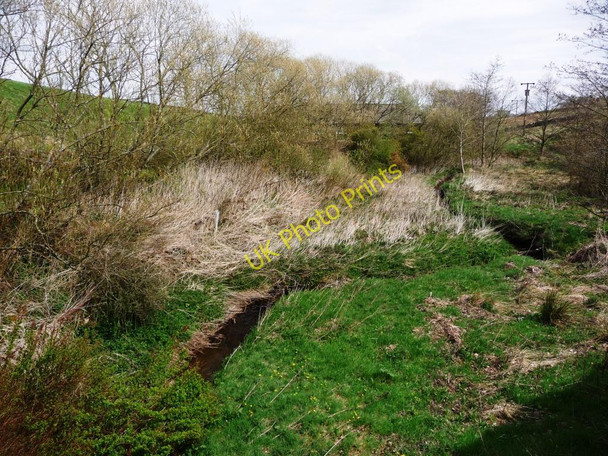 Photo 6"x4" Down Nook Beck, towards High Bobbin Mill Newsholme\/SE0239 c2010