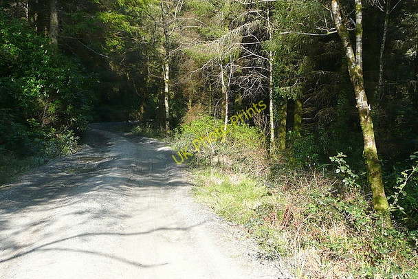 Photo 6"x4" A yellow road?  Really? Connolly c2010