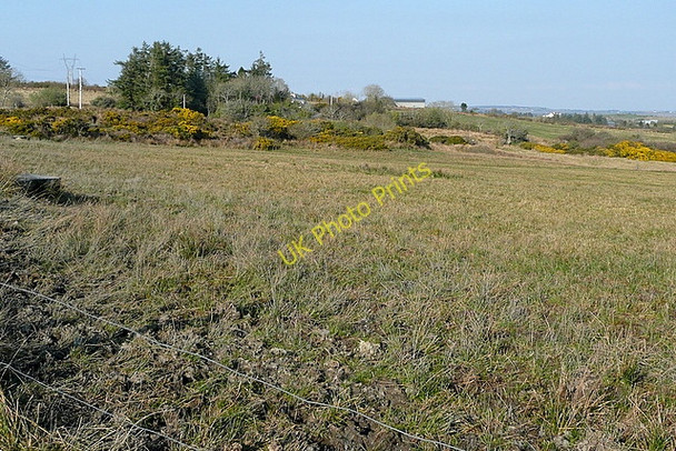 Photo 6"x4" Farmland at Shanawalla Connolly c2010