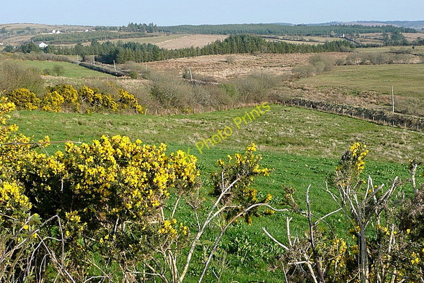 Photo 6"x4" Near Ailldavore Connolly c2010