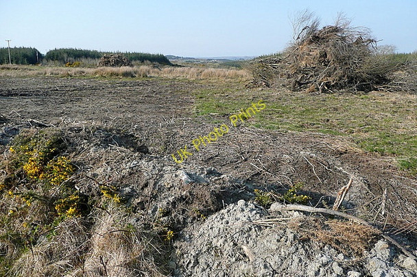 Photo 6"x4" Clearing the land Connolly c2010