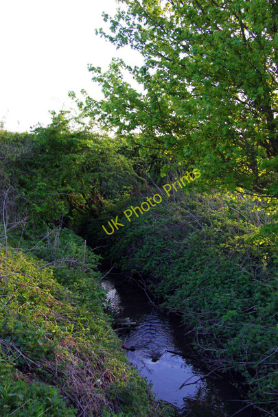 Photo 6"x4" Northfield Brook Blackird Leys c2010