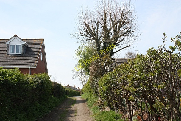 Photo 6"x4" Track up from Upper Ham Upton upon Severn c2010
