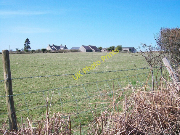 Photo 6"x4" Fferm Castellcoed Farm Llanarmon c2010