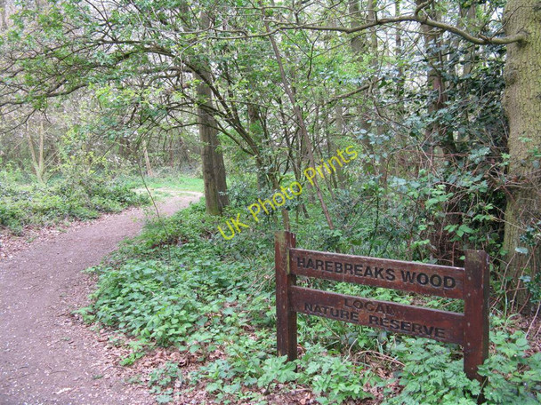 Photo 6"x4" Harebreaks Wood Local Nature Reserve Watford\/TQ1097 c2010