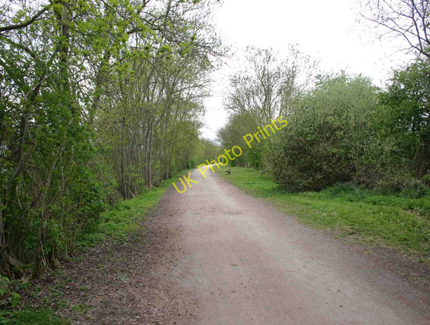 Photo 6"x4" The Greenway, Stratford-upon-Avon Stratford-upon-Avon c2010