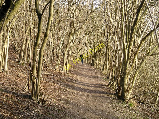 Photo 6"x4" Pilgrims Way Mogador c2007