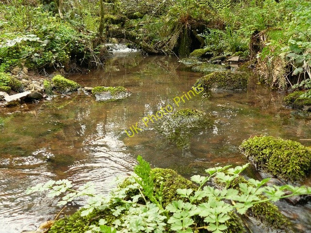 Photo 6"x4" Small Pool Tavernspite c2010