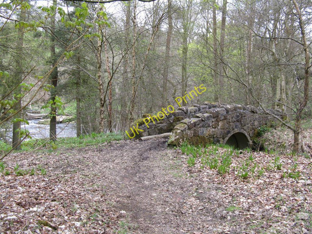 Photo 6"x4" Bridge over unnamed burn Westfield\/NS9372 c2010
