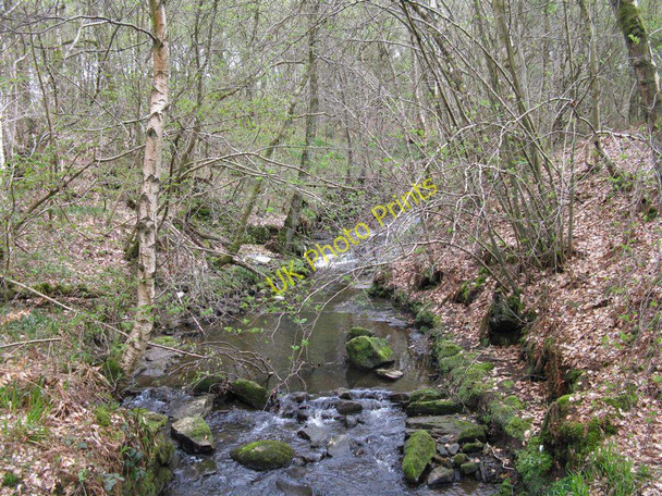 Photo 6"x4" Burn in the Avon Gorge Westfield\/NS9372 c2010