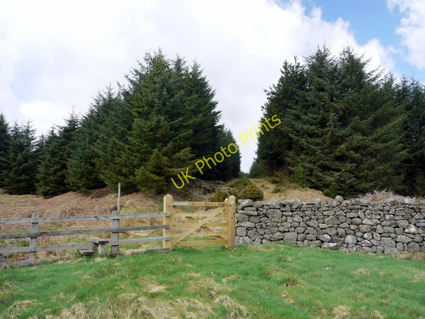 Photo 6"x4" Gate into Threestoneburn Wood South Middleton c2010
