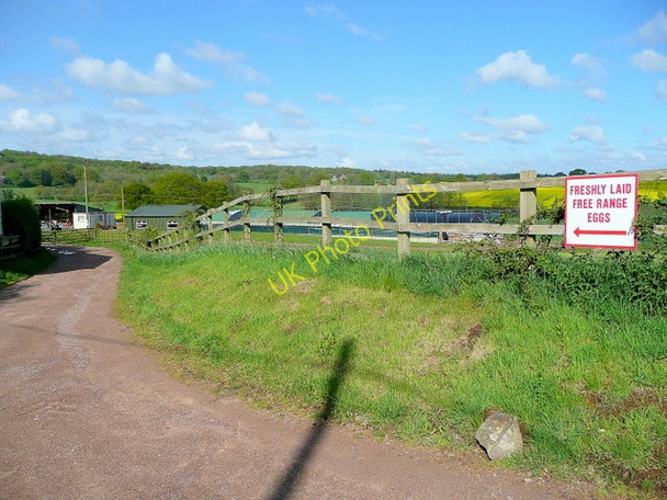 Photo 6"x4" Woodland View Farm Boulsdon c2010
