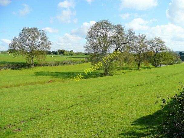 Photo 6"x4" West Gloucestershire pastoral scene Anthony's Cross c2010