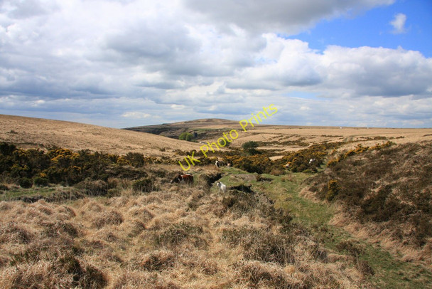 Photo 6"x4" Chowell Brook Valley Kingsett c2010