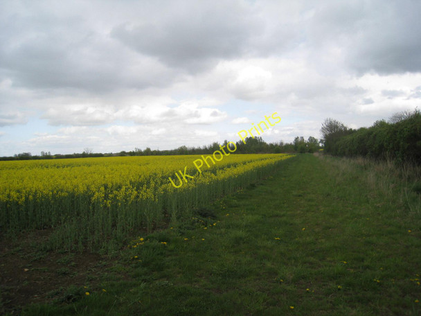 Photo 6"x4" Uncultivated field edge Barnby in the Willows c2010