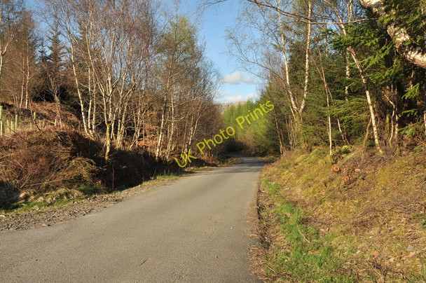 Photo 6"x4" Road into the forest at Fearnoch Inveresragan c2010