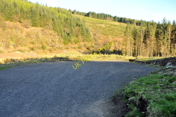 Photo 6"x4" Inverawe Forest car park Corfhouse c2010