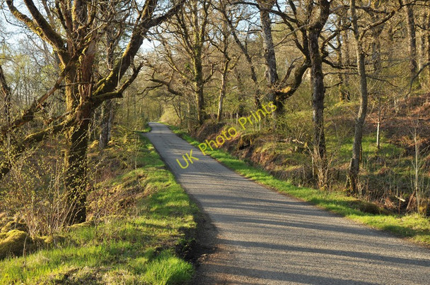 Photo 6"x4" Road to Inverawe Ichrachan c2010