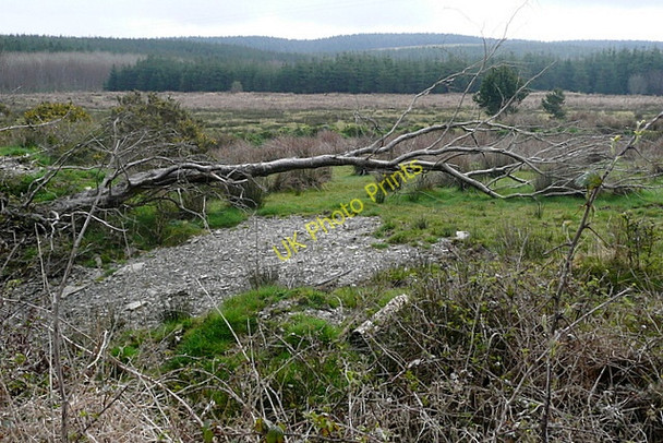 Photo 6"x4" Scrubland at Derryharriv Inagh c2010