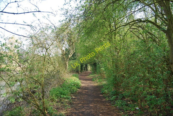 Photo 6"x4" Riverside path, Aylesford Aylesford c2010