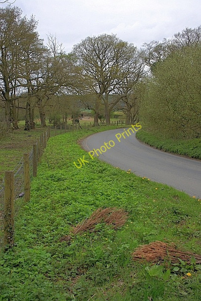 Photo 6"x4" Dog Bark Bend Throxenby c2010