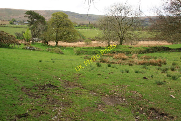 Photo 6"x4" Yellowmead Farm Horndon c2010