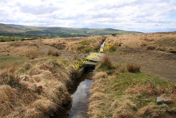 Photo 6"x4" A mine leat Horndon c2010