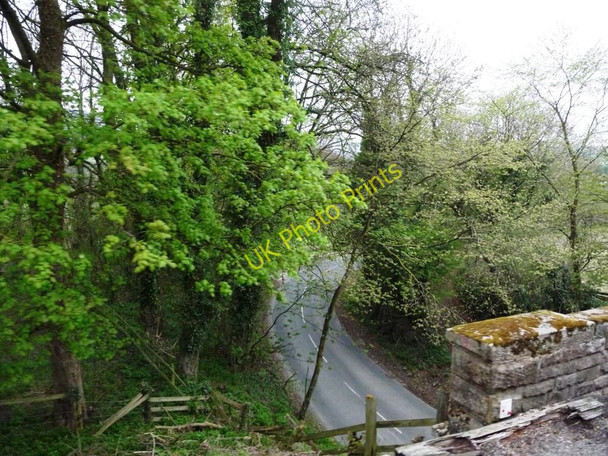 Photo 6"x4" The lane to Redmire passing under the railway bridge Redmire\/SE0491 c2010