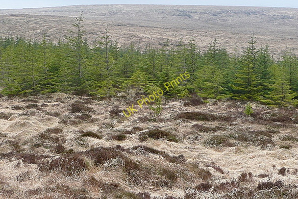 Photo 6"x4" Towards Slievecallan Connolly c2010