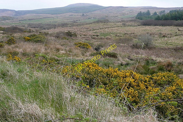 Photo 6"x4" Towards Slievecallan Milltown Malbay c2010