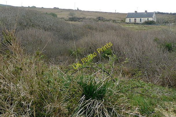 Photo 6"x4" Cottage by Silverhill River Milltown Malbay c2010