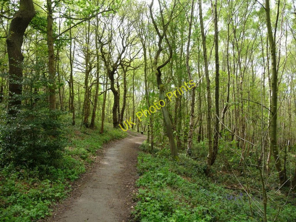 Photo 6"x4" Path through the woods Midgley\/SE2714 c2010