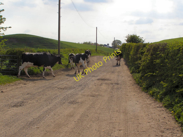 Photo 6"x4" Thornham Old Road Royton c2010 P2