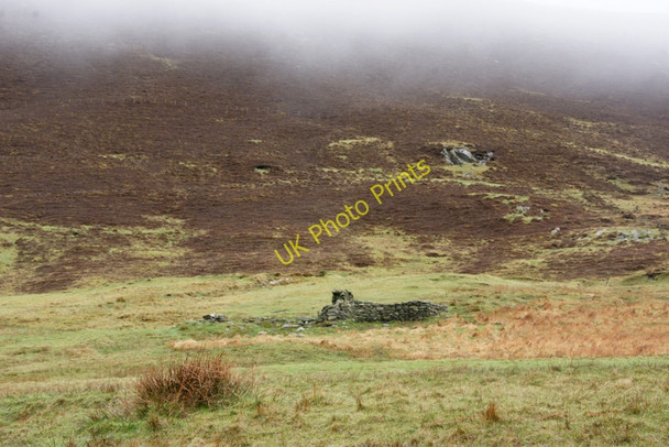 Photo 6"x4" Scrae Field, Quarff Easter Quarff c2010