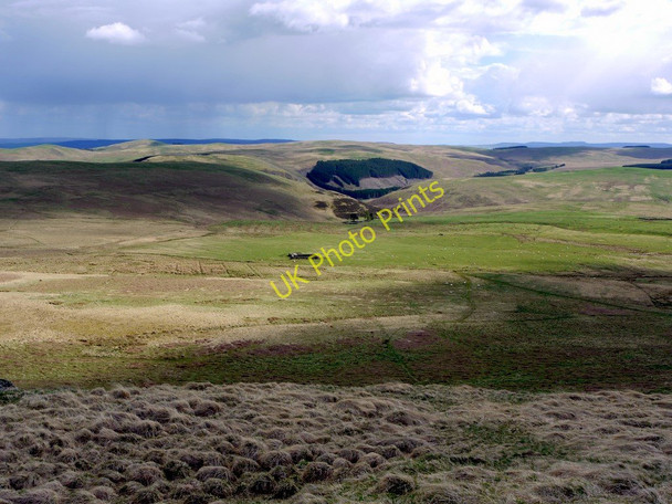 Photo 6"x4" View south from ridge east of Cunyan Crags Linhope\/NT9616 c2010