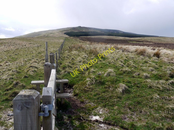 Photo 6"x4" Gate & stile on bridleway south of The Dod Ingram c2010