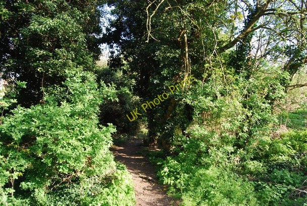 Photo 6"x4" The Medway Valley Walk, Borstal Rochester\/TQ7268 c2010