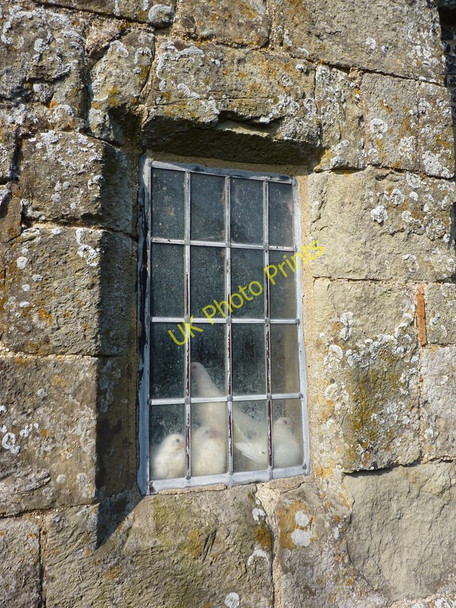 Photo 6"x4" Wilmington Priory; doves Wilmington\/TQ5404 c2010
