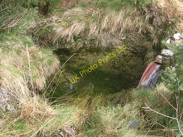 Photo 6"x4" Clear puddle in coniferous forest Esgair Gerwyn c2008