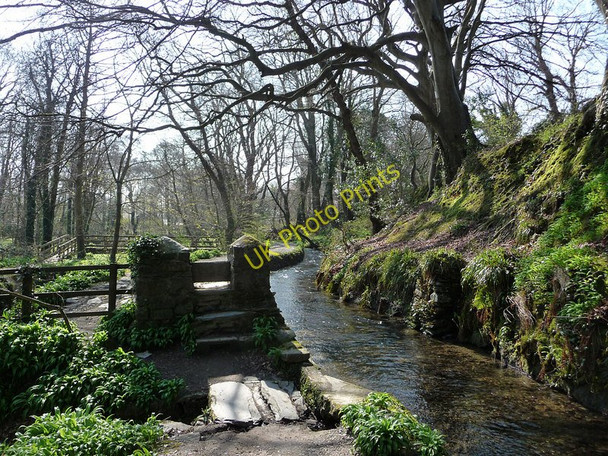 Photo 6"x4" Silverdale Glen Ballasalla\/SC2870 c2010