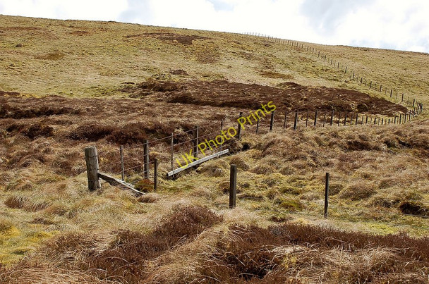 Photo 6"x4" Bend in the fence, The Wiss Bowerhope c2010