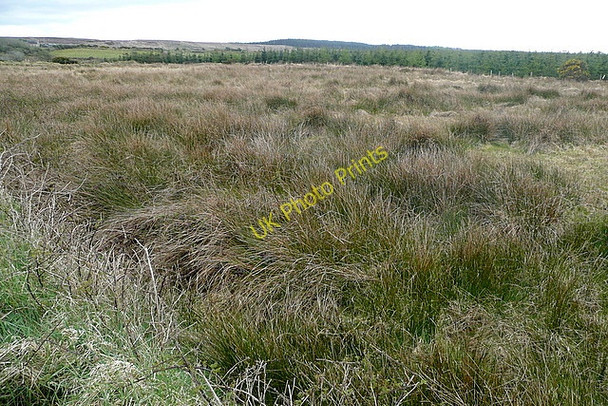 Photo 6"x4" From Carrownagry crossroads Mullagh c2010
