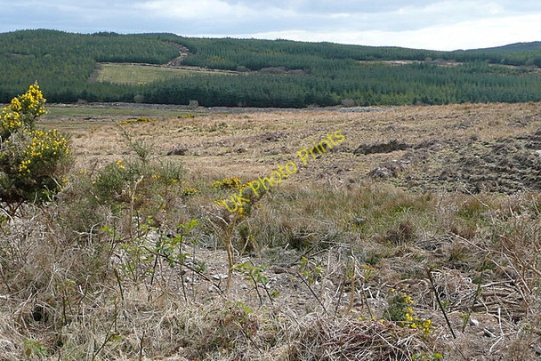 Photo 6"x4" Moorland and forestry at Boleybeg Mullagh c2010