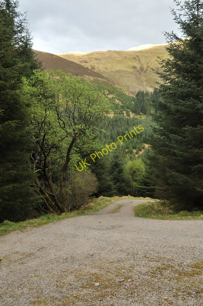 Photo 6"x4" Forestry road junction in Glen Achulish South Ballachulish c2010