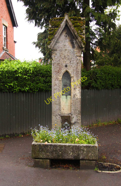 Photo 6"x4" Planted water trough in Devizes Devizes c2010