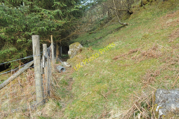 Photo 6"x4" Boundary fence at the edge of the forest South Ballachulish c2010