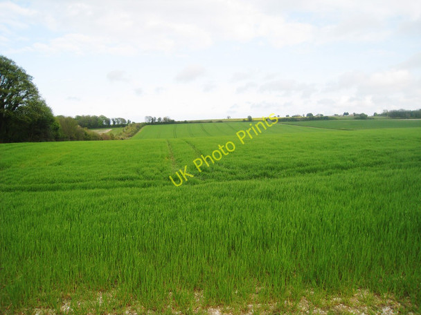 Photo 6"x4" Crop Fields near Ashley Ashley\/TR3048 c2010